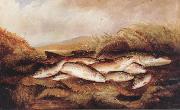 Henry Leonidas Rolfe The Day's Catch oil painting